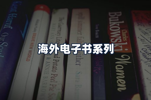 海外电子书